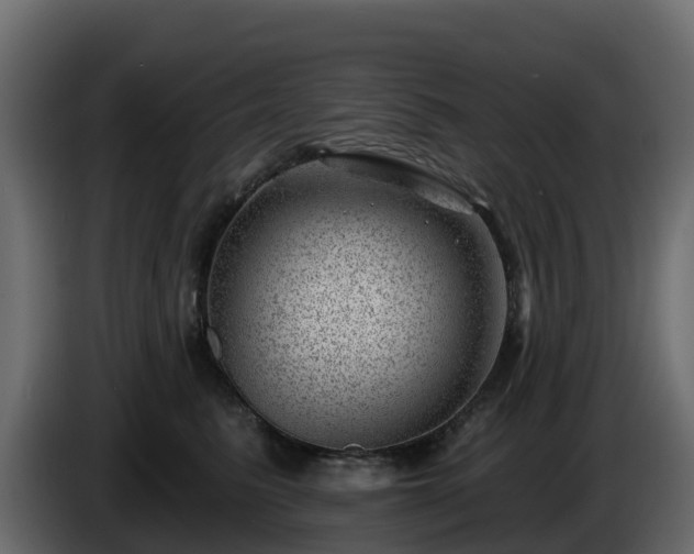 X0000085800615200703231332