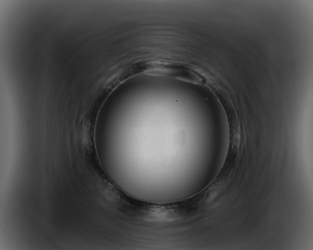 X0000085800616200703231331