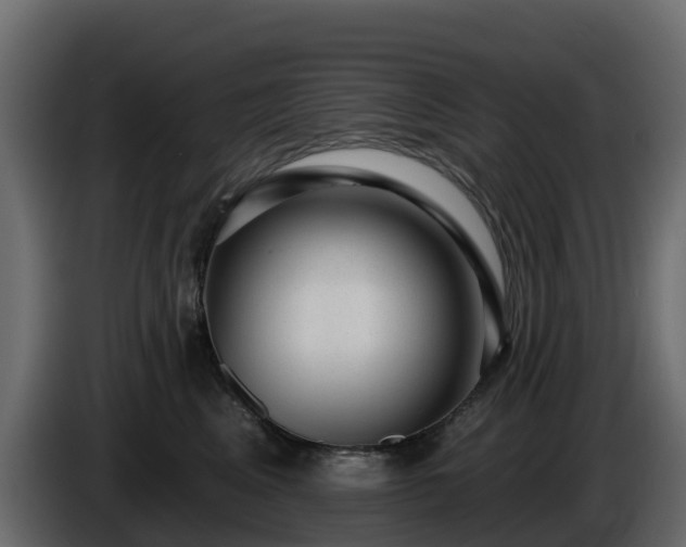 X0000085800617200703231331