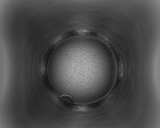 X0000085800618200703231331