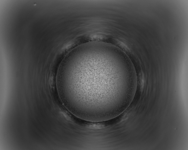 X0000085800619200703231331