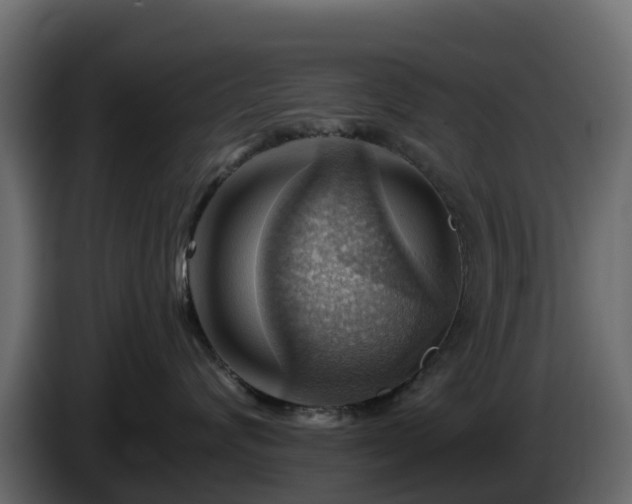 X0000085800624200703231331