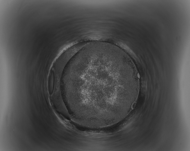 X0000085800626200703231331