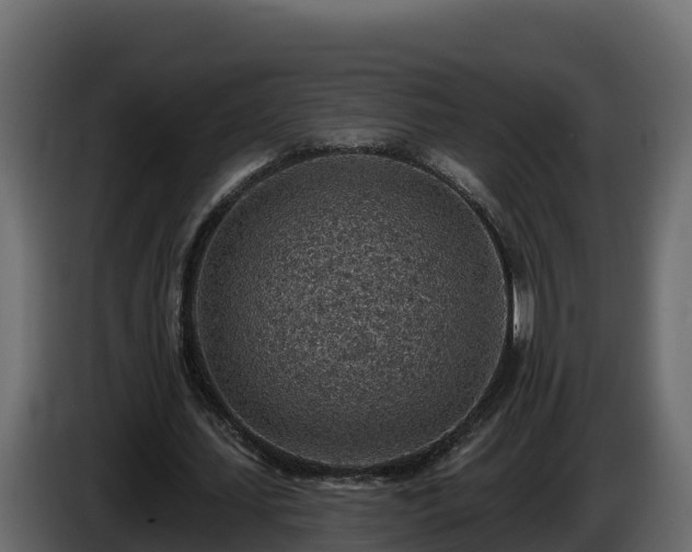 X0000085800627200703231331