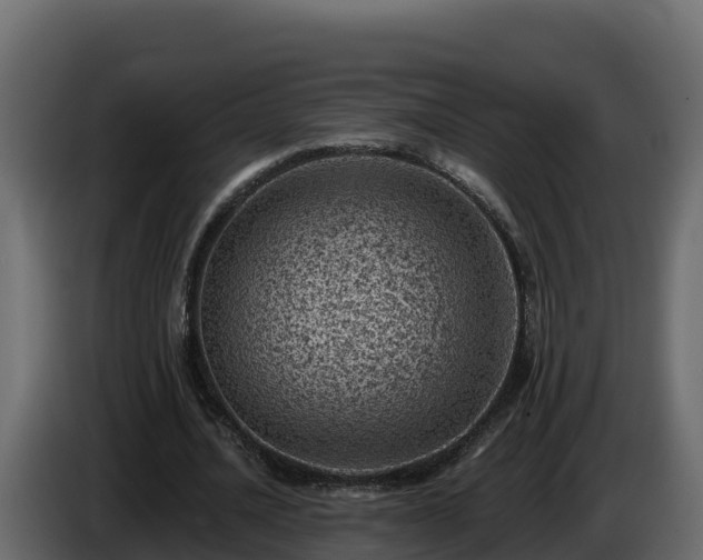 X0000085800628200703231331