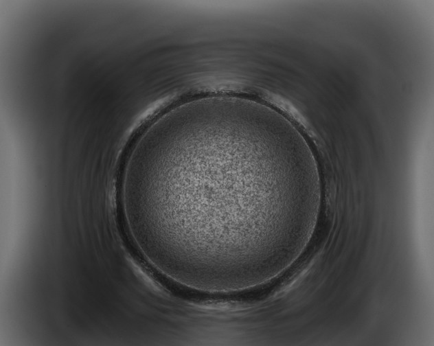 X0000085800629200703231331