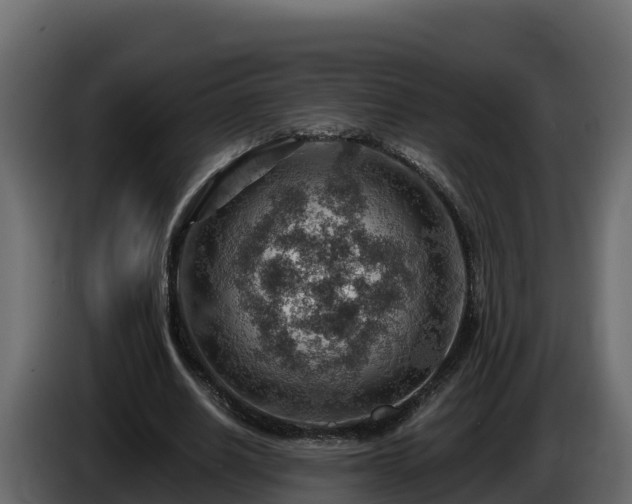X0000085800630200703231331