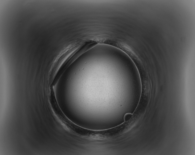 X0000085800634200703231331
