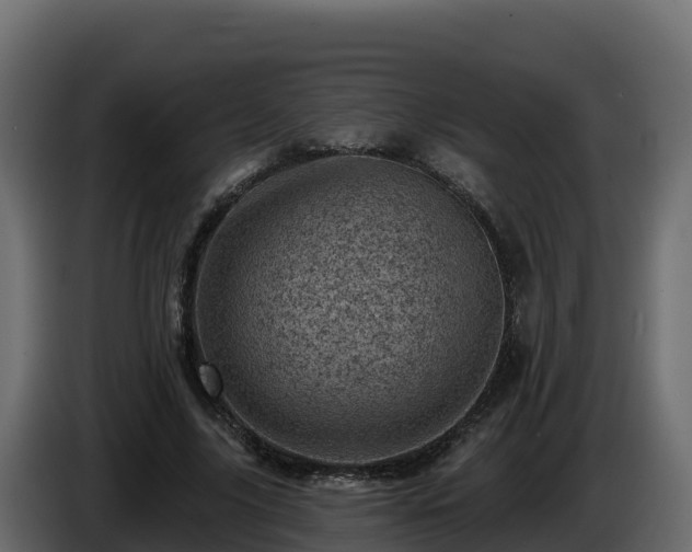 X0000085800635200703231331
