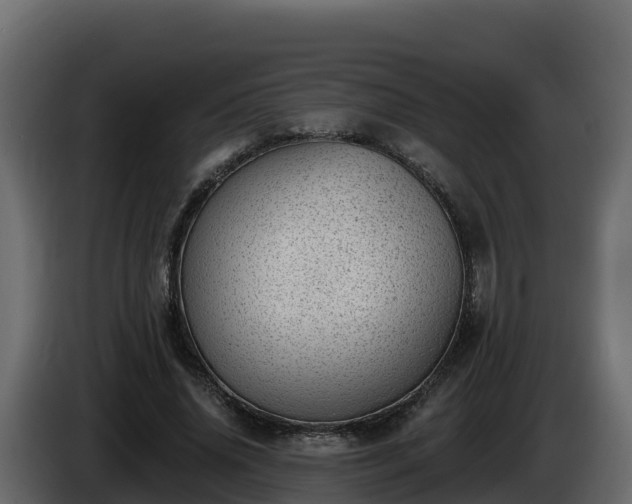X0000085800636200703231331