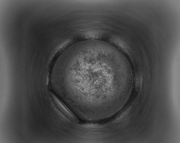 X0000085800637200703231331