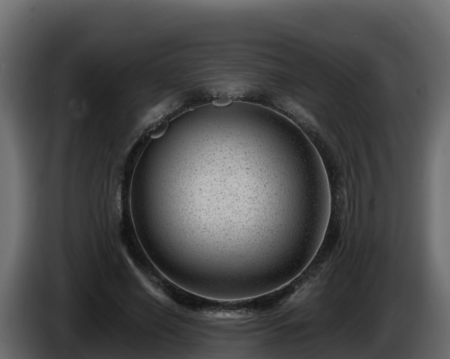 X0000085800638200703231331