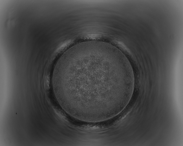 X0000085800640200703231331