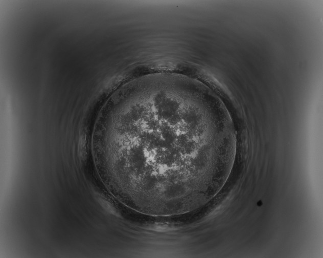 X0000085800641200703231331