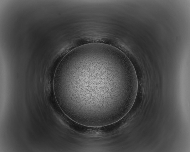X0000085800642200703231331