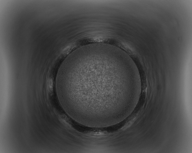 X0000085800646200703231331