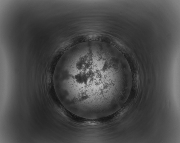 X0000085800654200703231331