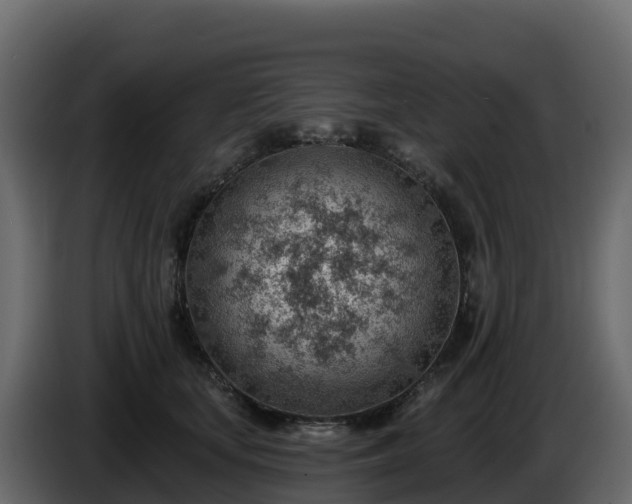 X0000085800659200703231331