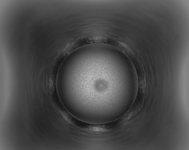 X0000085800662200703231331