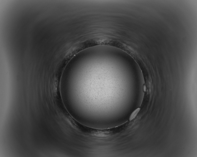X0000085800664200703231331