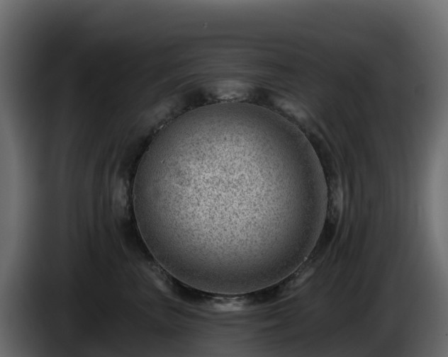 X0000085800667200703231331