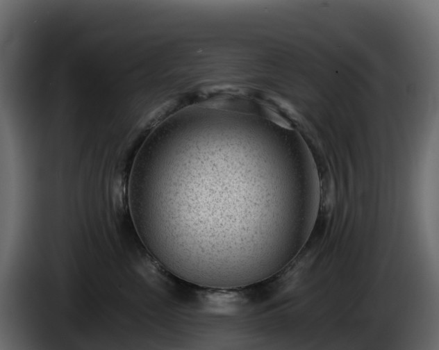 X0000085800669200703231331