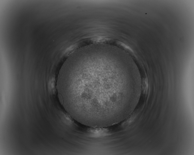 X0000085800670200703231331