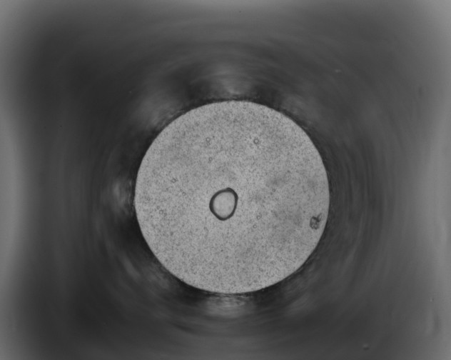 X0000085800672200703231331