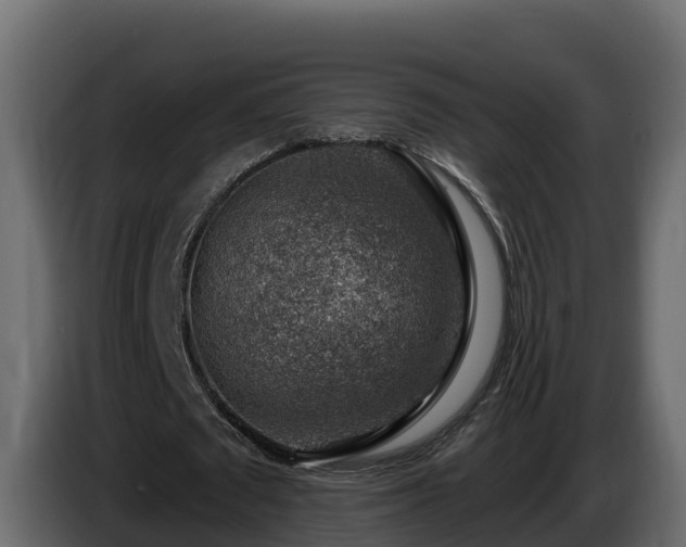 X0000085800673200703231331