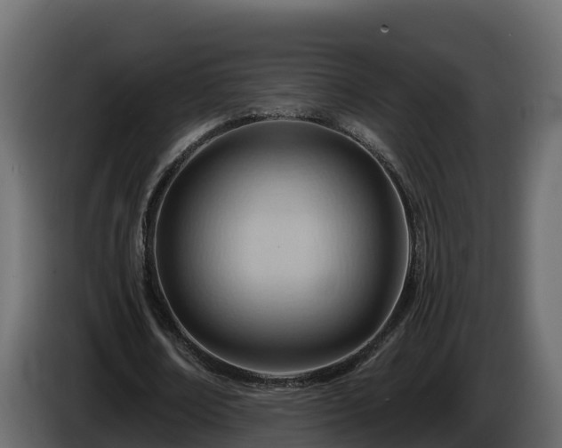 X0000085800674200703231331