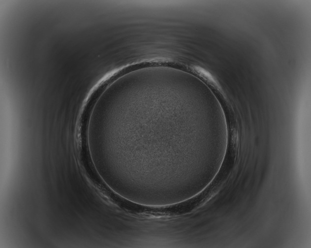 X0000085800676200703231331