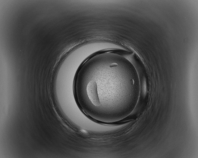 X0000085800677200703231331