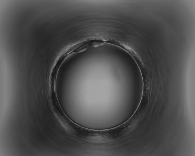 X0000085800678200703231331