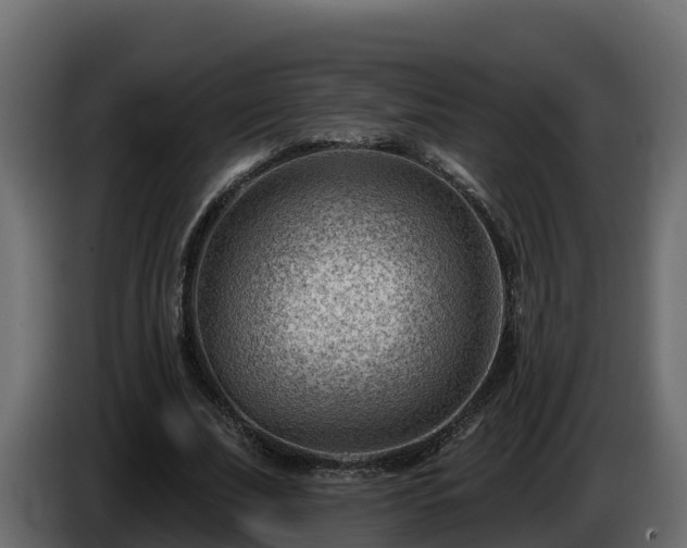 X0000085800679200703231331
