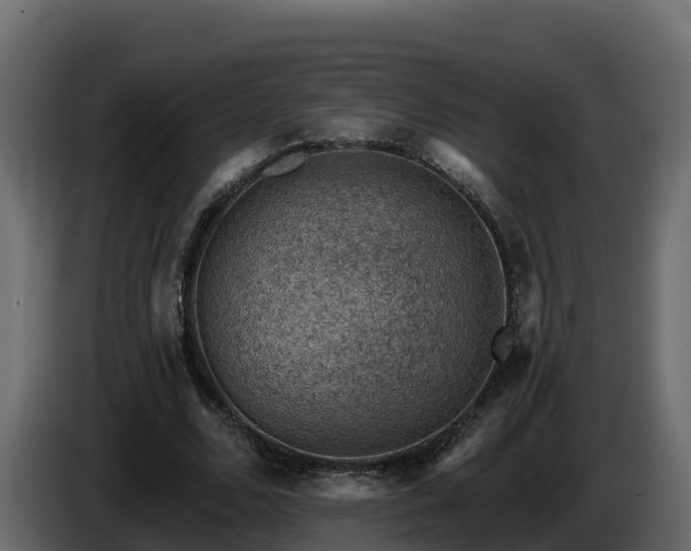 X0000085800680200703231331