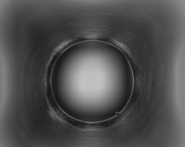 X0000085800682200703231331