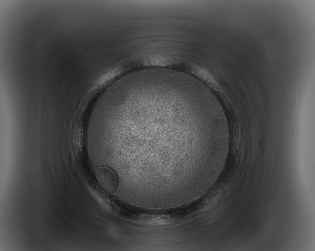 X0000085800683200703231331