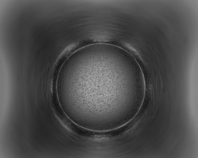 X0000085800686200703231330