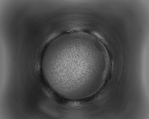 X0000085800687200703231330