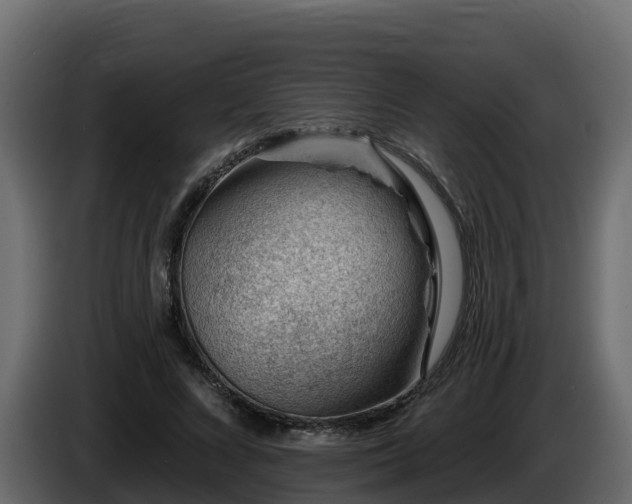X0000085800688200703231330