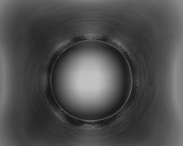 X0000085800690200703231330
