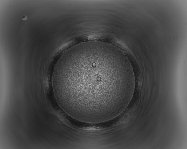 X0000085800691200703231330