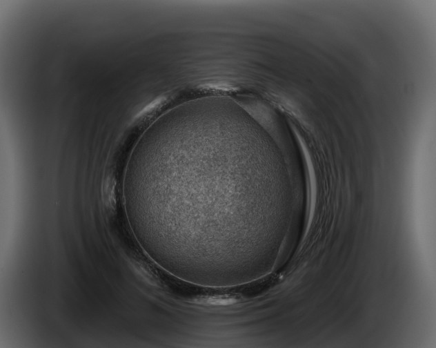 X0000085800692200703231330