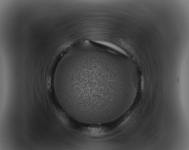 X0000085800693200703231330