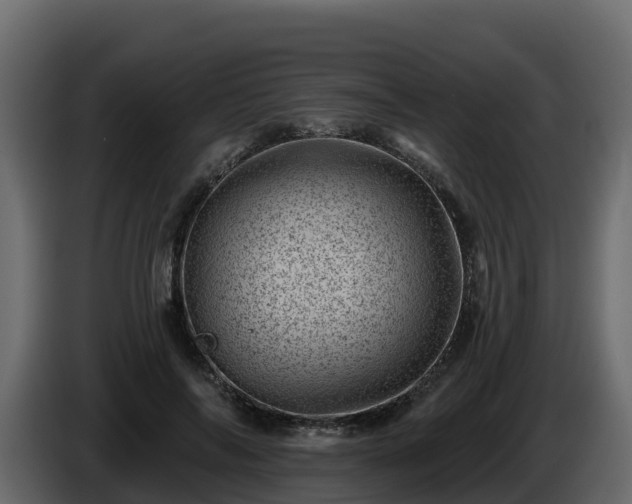 X0000085800694200703231330