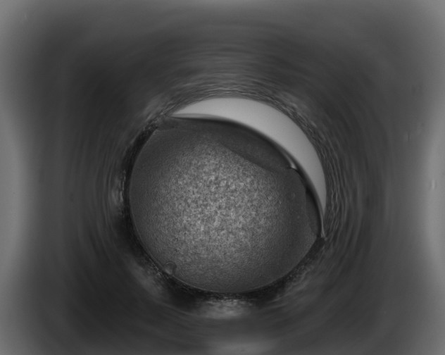 X0000085800695200703231330