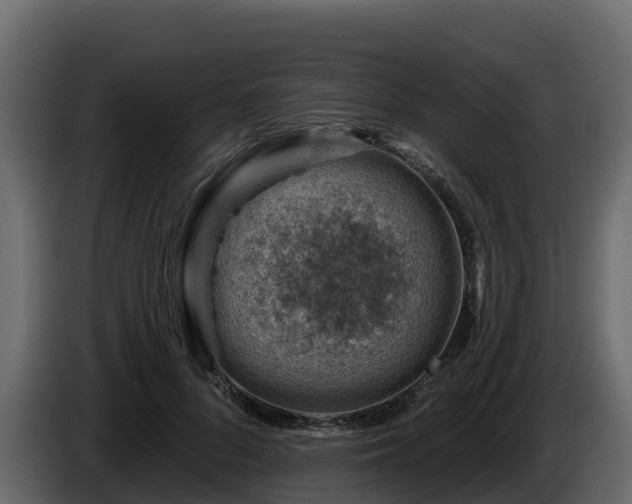 X0000085800696200703231330