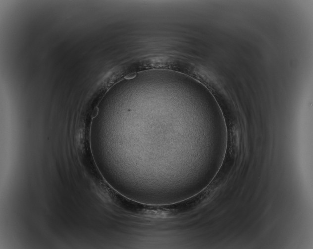 X0000085800698200703231330