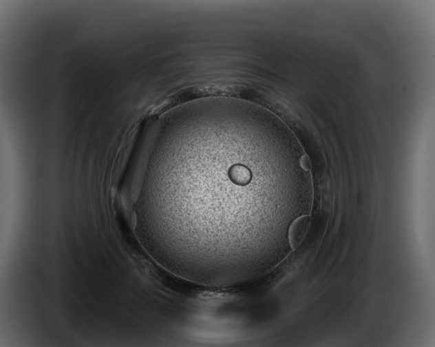 X0000085800699200703231330