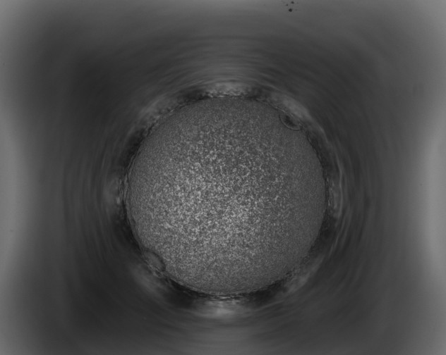 X0000085800701200703231330